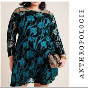 Juliet Embroidered Velvet Mini Dress